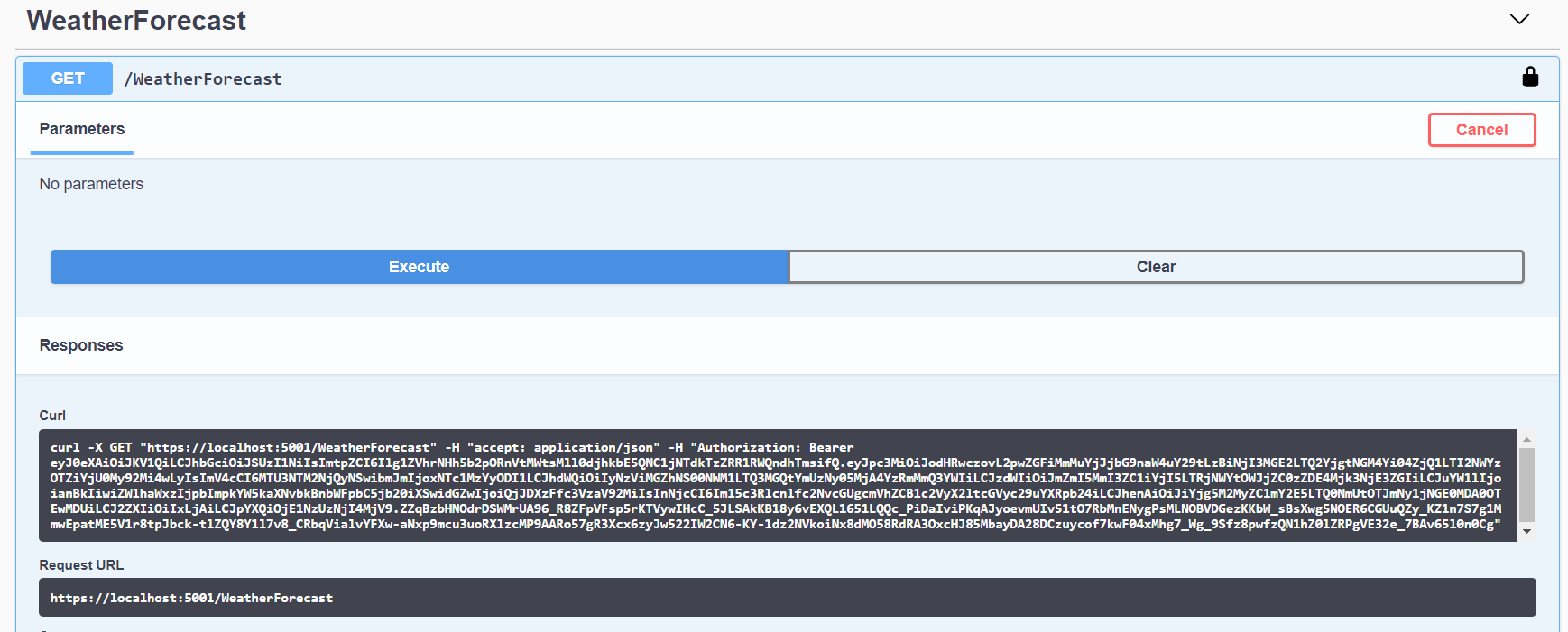 swagger-ui-token-received